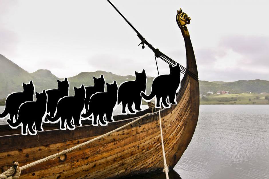 History: The Vikings Sailed With Cats 😲