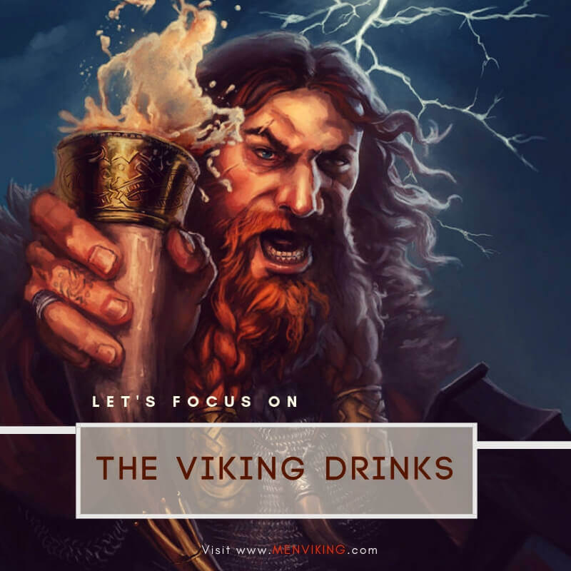 Did the Vikings Drink Beer?
