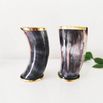 Viking Drinking Horn Cups - Set of 2, 4