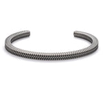 Viking Titanium Steel Bangle