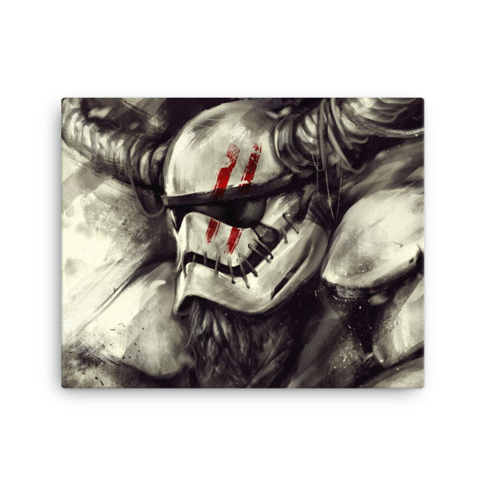 Stormtrooper Viking Canvas