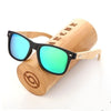 POLARIZED SUNGLASSES