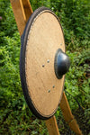 Medieval Viking Round Shield